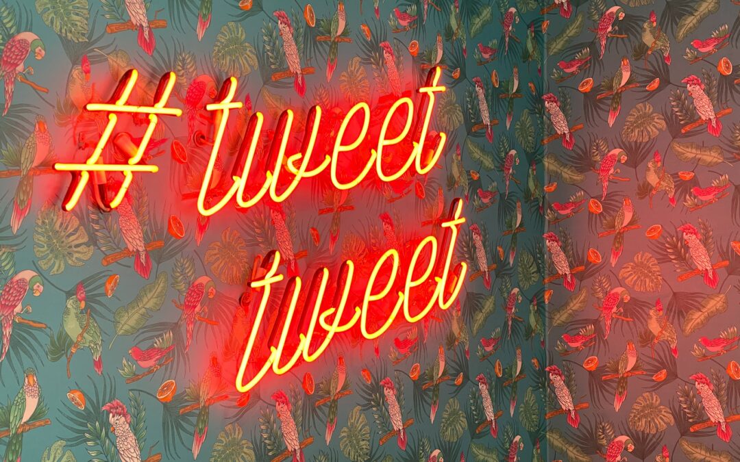 5 Ways to Gain More Twitter Followers
